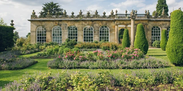 Rose garden 1920x920